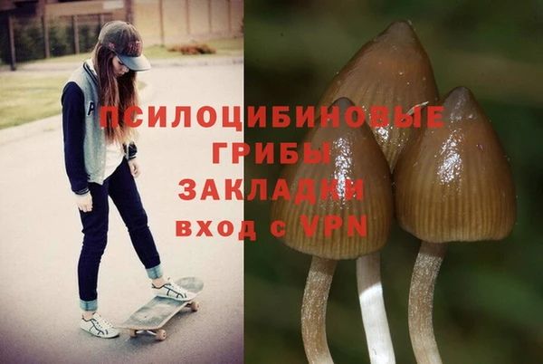 PSILOCYBIN Балахна